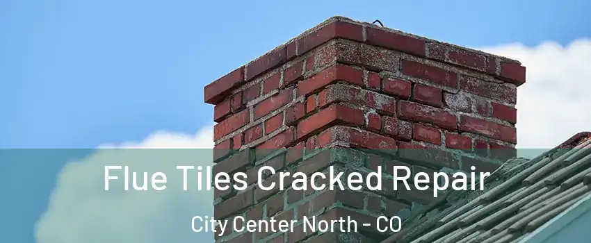Flue Tiles Cracked Repair City Center North - CO