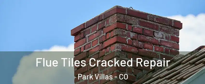 Flue Tiles Cracked Repair Park Villas - CO
