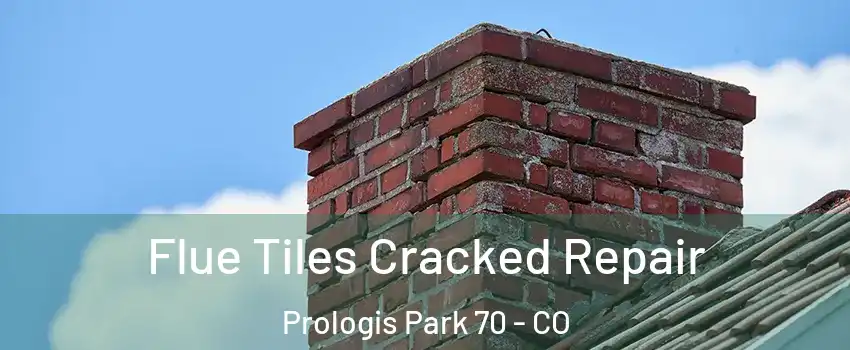 Flue Tiles Cracked Repair Prologis Park 70 - CO