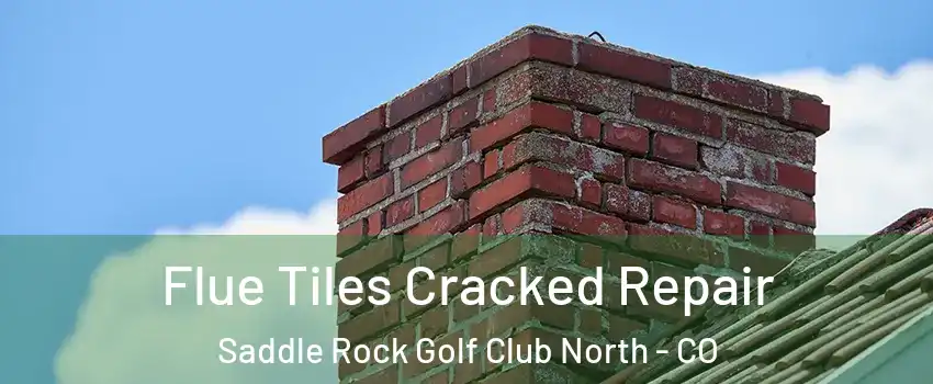 Flue Tiles Cracked Repair Saddle Rock Golf Club North - CO