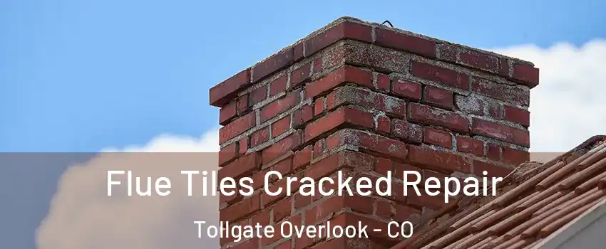 Flue Tiles Cracked Repair Tollgate Overlook - CO