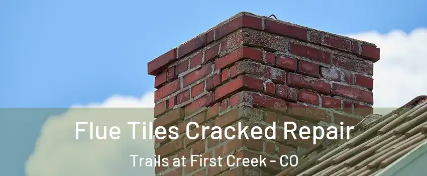 Flue Tiles Cracked Repair Trails at First Creek - CO
