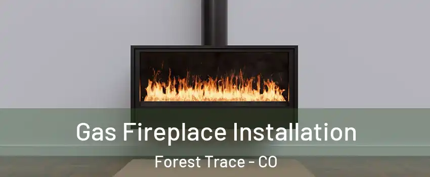 Gas Fireplace Installation Forest Trace - CO