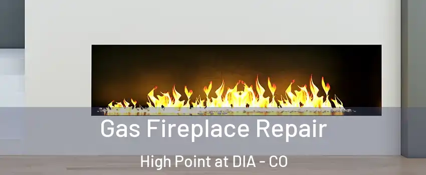 Gas Fireplace Repair High Point at DIA - CO