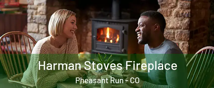 Harman Stoves Fireplace Pheasant Run - CO