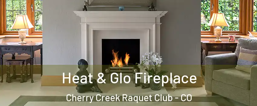 Heat & Glo Fireplace Cherry Creek Raquet Club - CO