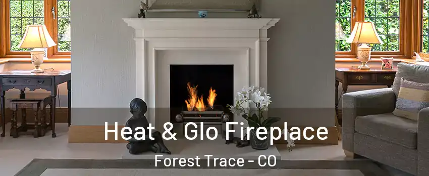 Heat & Glo Fireplace Forest Trace - CO