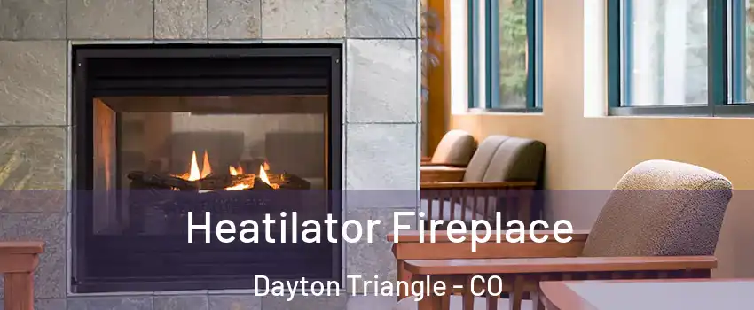 Heatilator Fireplace Dayton Triangle - CO