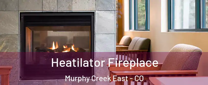 Heatilator Fireplace Murphy Creek East - CO