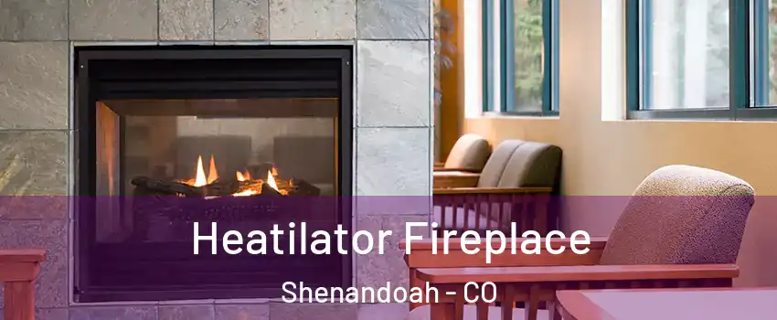 Heatilator Fireplace Shenandoah - CO