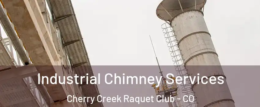 Industrial Chimney Services Cherry Creek Raquet Club - CO