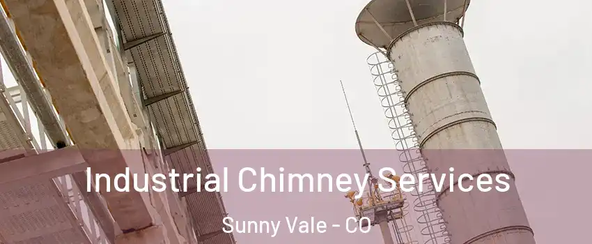 Industrial Chimney Services Sunny Vale - CO