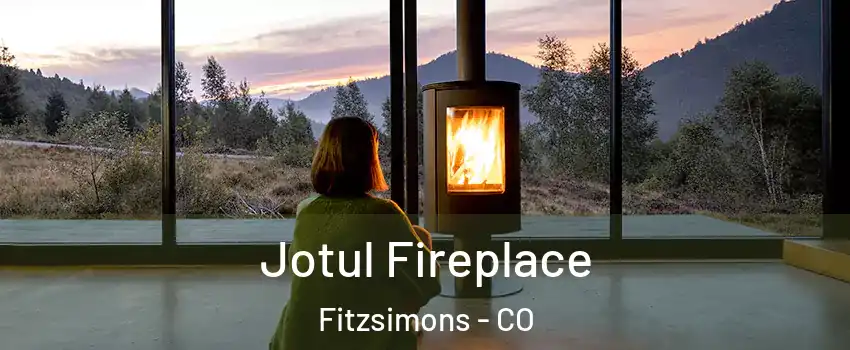 Jotul Fireplace Fitzsimons - CO
