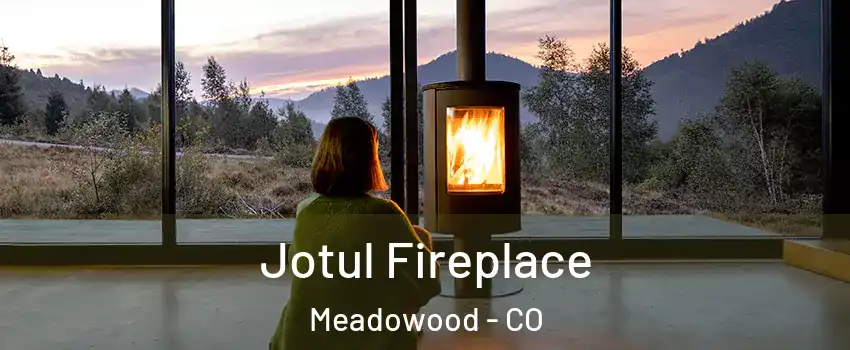 Jotul Fireplace Meadowood - CO