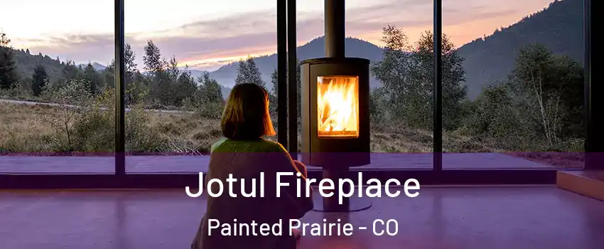 Jotul Fireplace Painted Prairie - CO