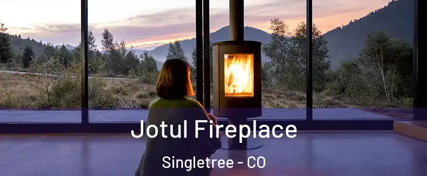 Jotul Fireplace Singletree - CO