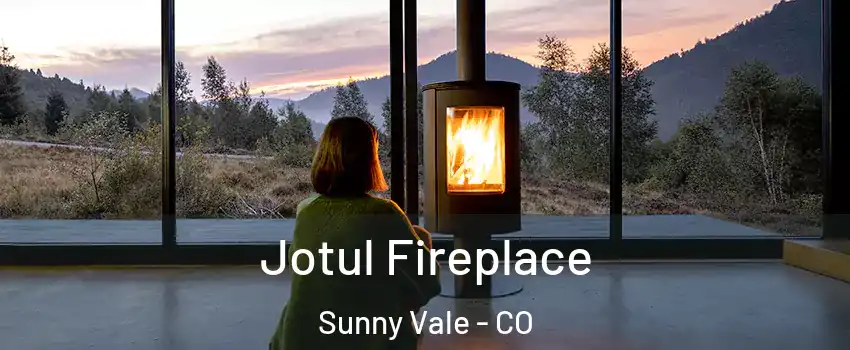 Jotul Fireplace Sunny Vale - CO