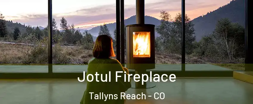 Jotul Fireplace Tallyns Reach - CO