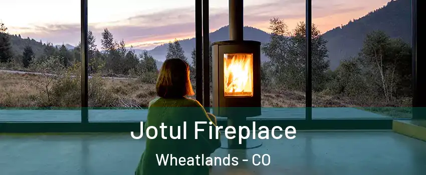 Jotul Fireplace Wheatlands - CO