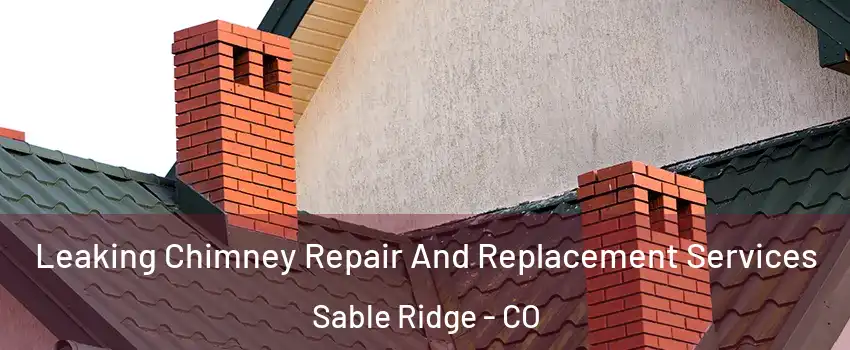 Leaking Chimney Repair And Replacement Services Sable Ridge - CO