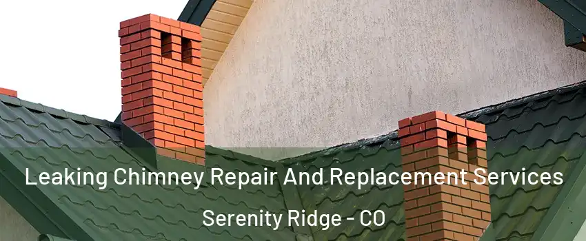 Leaking Chimney Repair And Replacement Services Serenity Ridge - CO