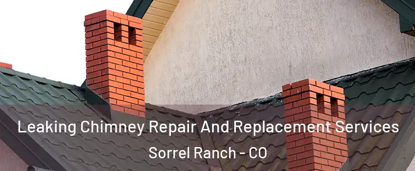 Leaking Chimney Repair And Replacement Services Sorrel Ranch - CO