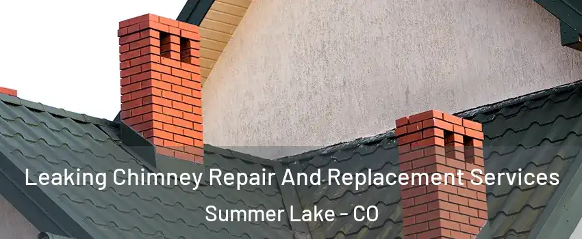 Leaking Chimney Repair And Replacement Services Summer Lake - CO