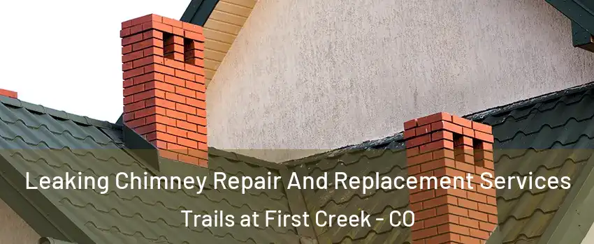 Leaking Chimney Repair And Replacement Services Trails at First Creek - CO