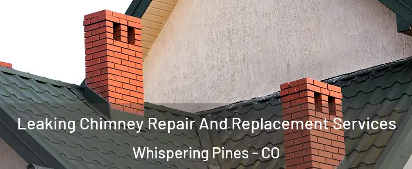 Leaking Chimney Repair And Replacement Services Whispering Pines - CO