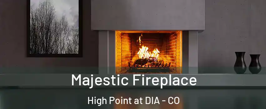 Majestic Fireplace High Point at DIA - CO