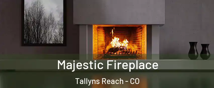 Majestic Fireplace Tallyns Reach - CO
