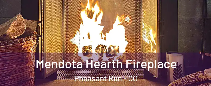 Mendota Hearth Fireplace Pheasant Run - CO