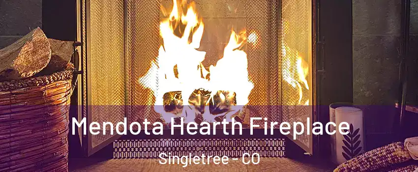 Mendota Hearth Fireplace Singletree - CO