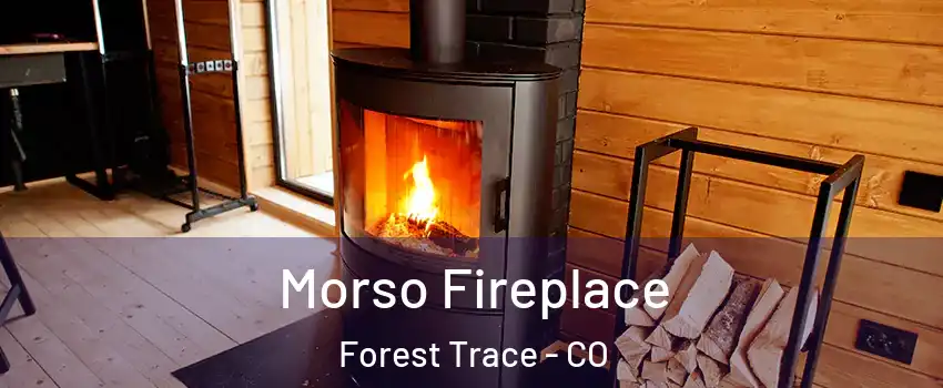Morso Fireplace Forest Trace - CO