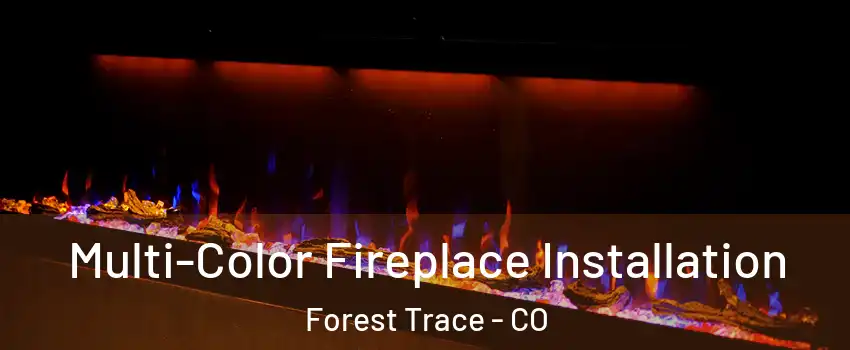 Multi-Color Fireplace Installation Forest Trace - CO
