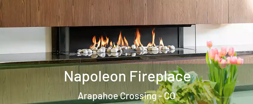 Napoleon Fireplace Arapahoe Crossing - CO
