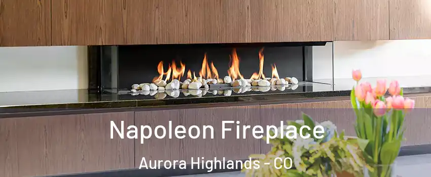 Napoleon Fireplace Aurora Highlands - CO
