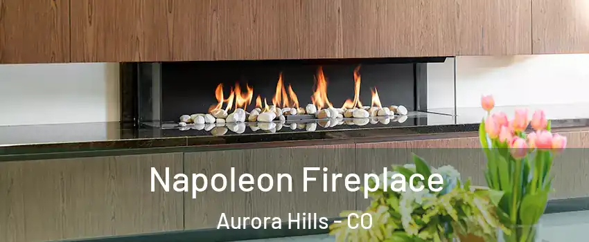 Napoleon Fireplace Aurora Hills - CO