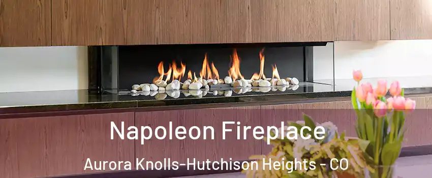 Napoleon Fireplace Aurora Knolls-Hutchison Heights - CO