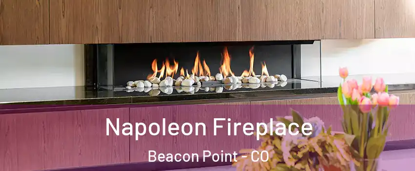 Napoleon Fireplace Beacon Point - CO