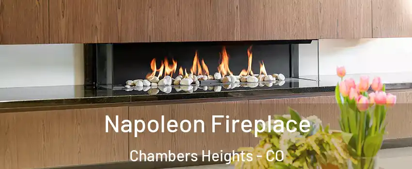 Napoleon Fireplace Chambers Heights - CO