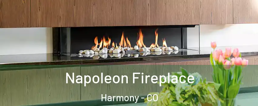 Napoleon Fireplace Harmony - CO