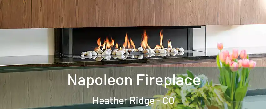 Napoleon Fireplace Heather Ridge - CO