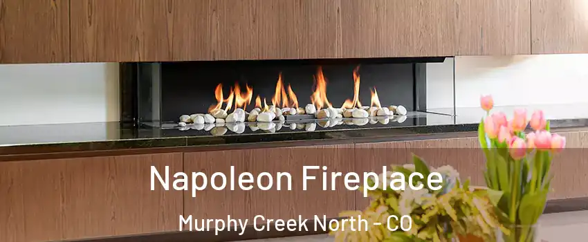 Napoleon Fireplace Murphy Creek North - CO