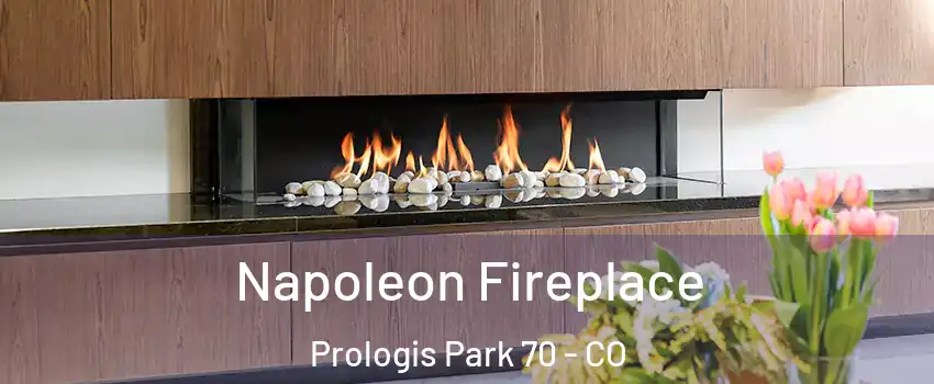 Napoleon Fireplace Prologis Park 70 - CO