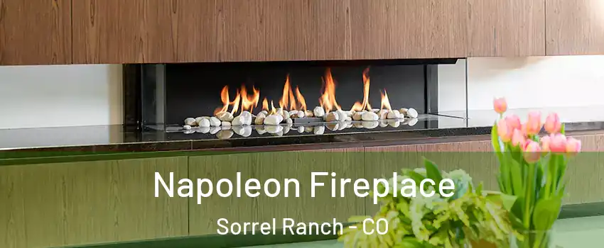 Napoleon Fireplace Sorrel Ranch - CO