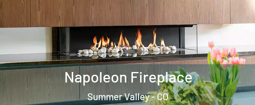 Napoleon Fireplace Summer Valley - CO