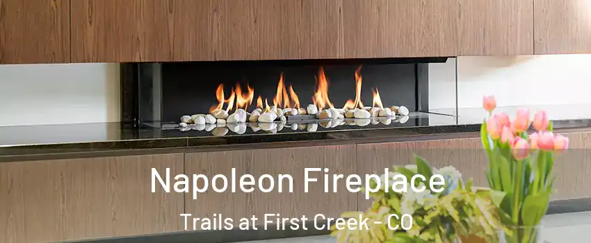 Napoleon Fireplace Trails at First Creek - CO
