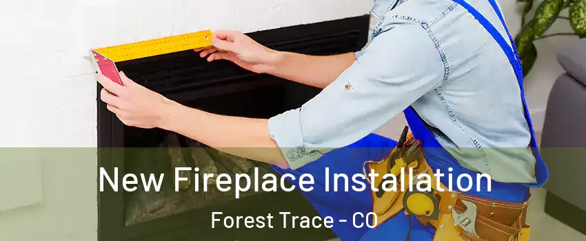 New Fireplace Installation Forest Trace - CO