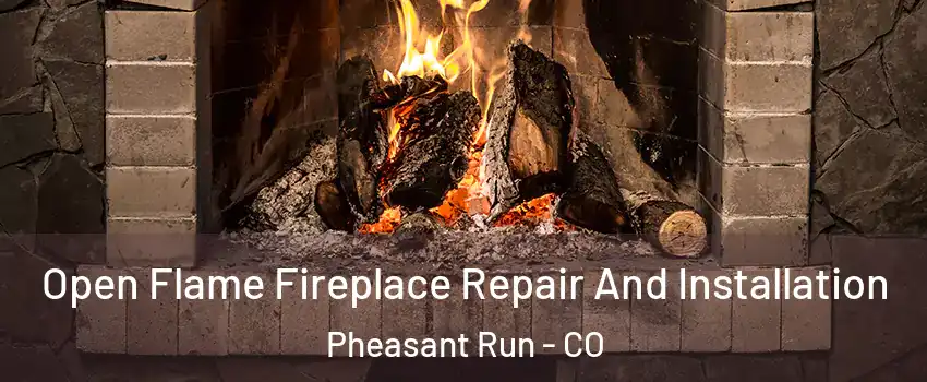 Open Flame Fireplace Repair And Installation Pheasant Run - CO
